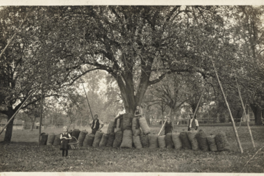 Vom Baum zum Glas, Ausstellung